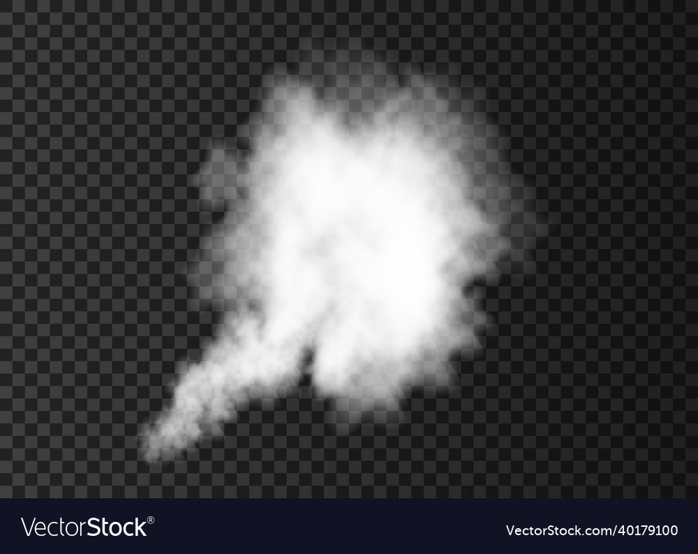 White Smoke Burst Isolated On Transparent Vector Image