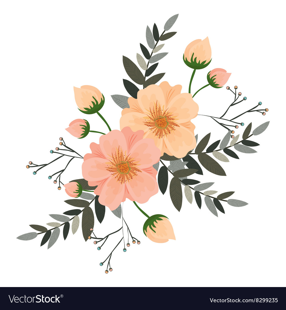 Floral Ornament Graphic Design Royalty Free Vector Image