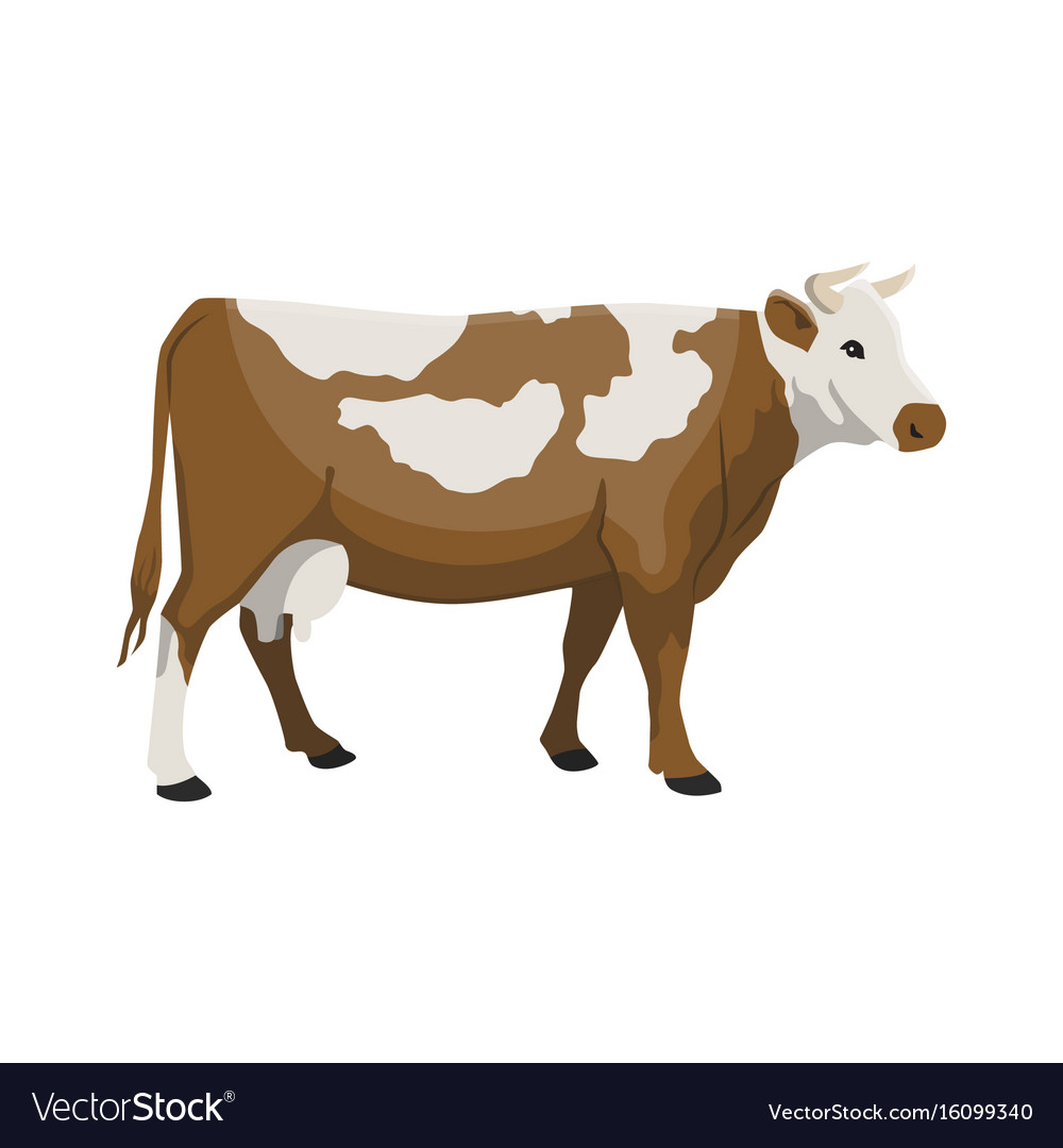 A Cow Royalty Free Vector Image Vectorstock