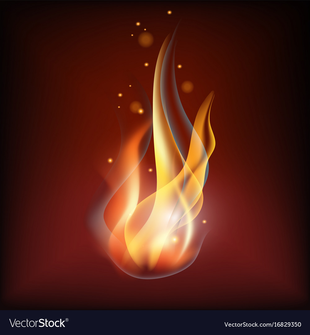 Realistic Fire Flame Royalty Free Vector Image