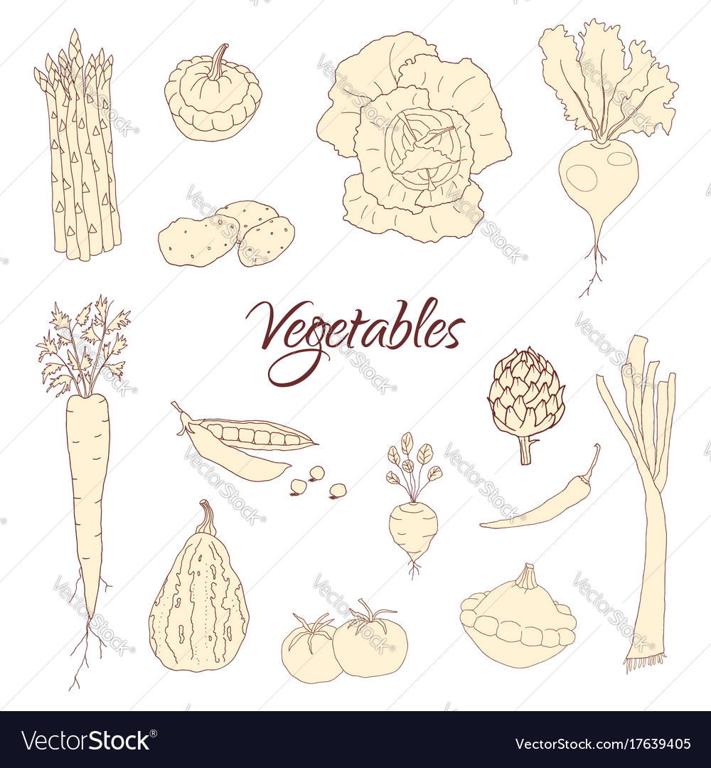 Hand Drawn Doodle Vegetables Icons Isolated Set Vector Image