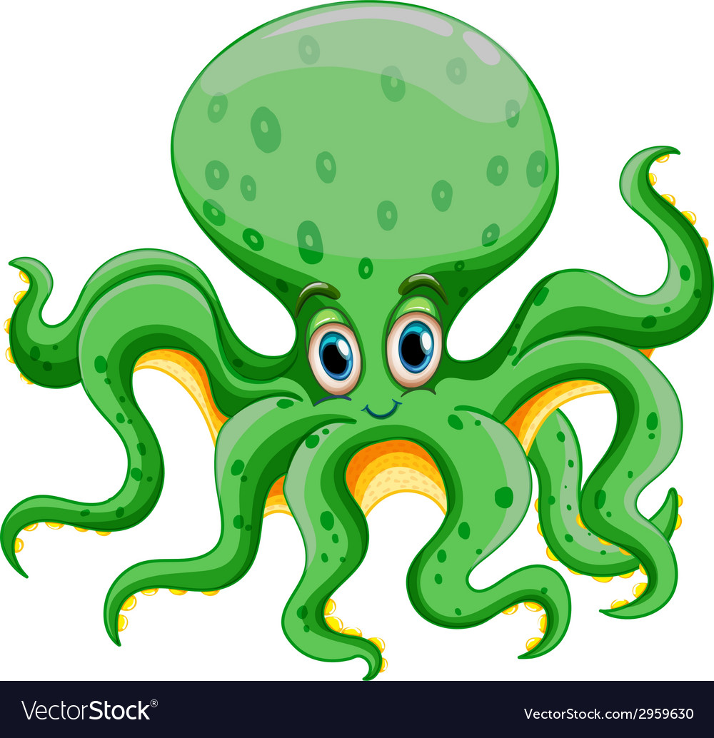 Octopus Royalty Free Vector Image VectorStock