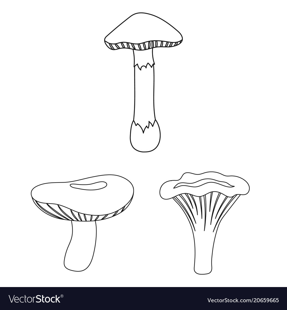 Poisonous And Edible Mushroom Outline Icons In Set