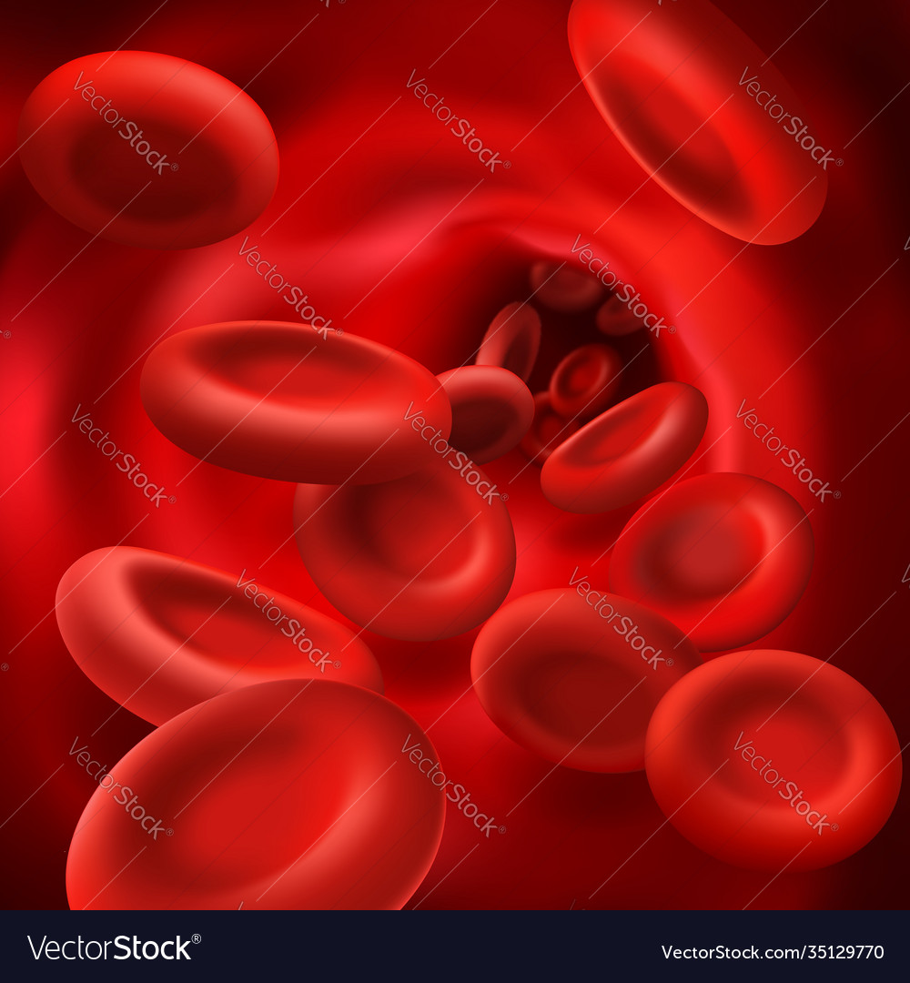 Red Cells In Blood Vessel 3d Hemoglobin Royalty Free Vector