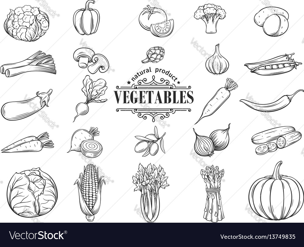 Hand Drawn Vegetables Icons Set Decorative Vector Image