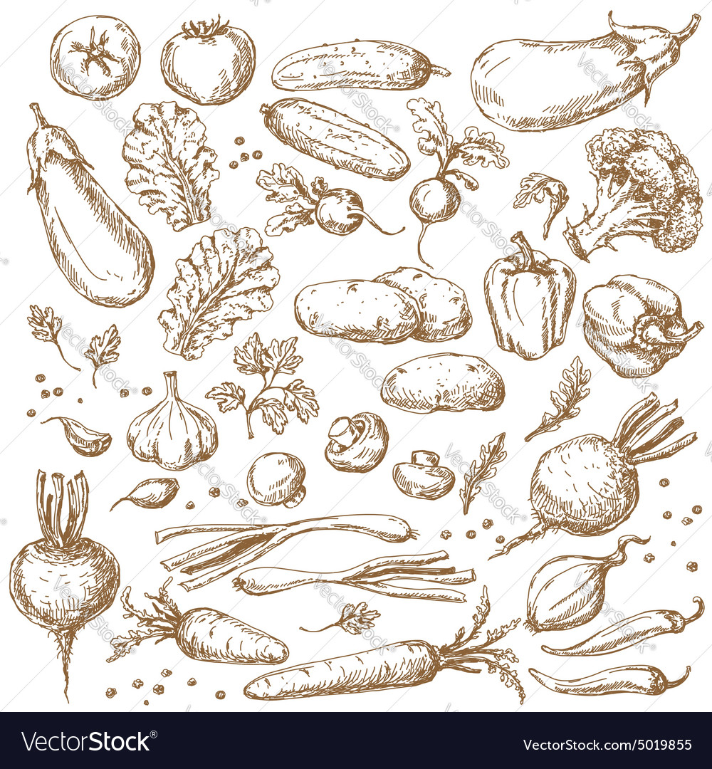 Vegetables Sketch Set Royalty Free Vector Image