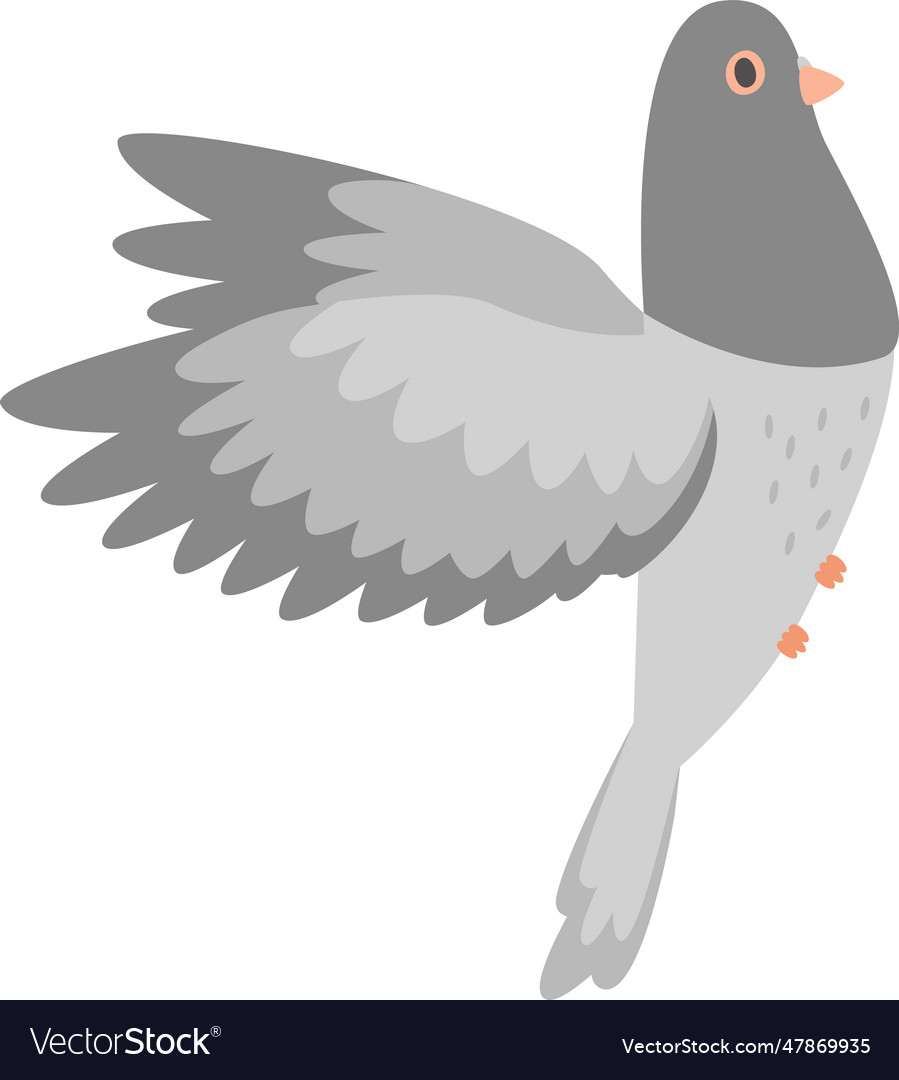 Pigeon Bird Flying Royalty Free Vector Image VectorStock