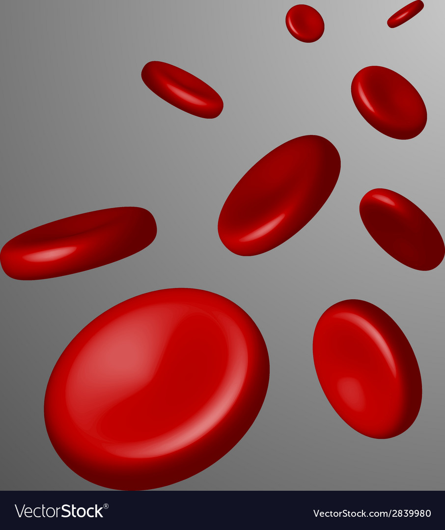 Red Blood Cells Erythrocytes Royalty Free Vector Image