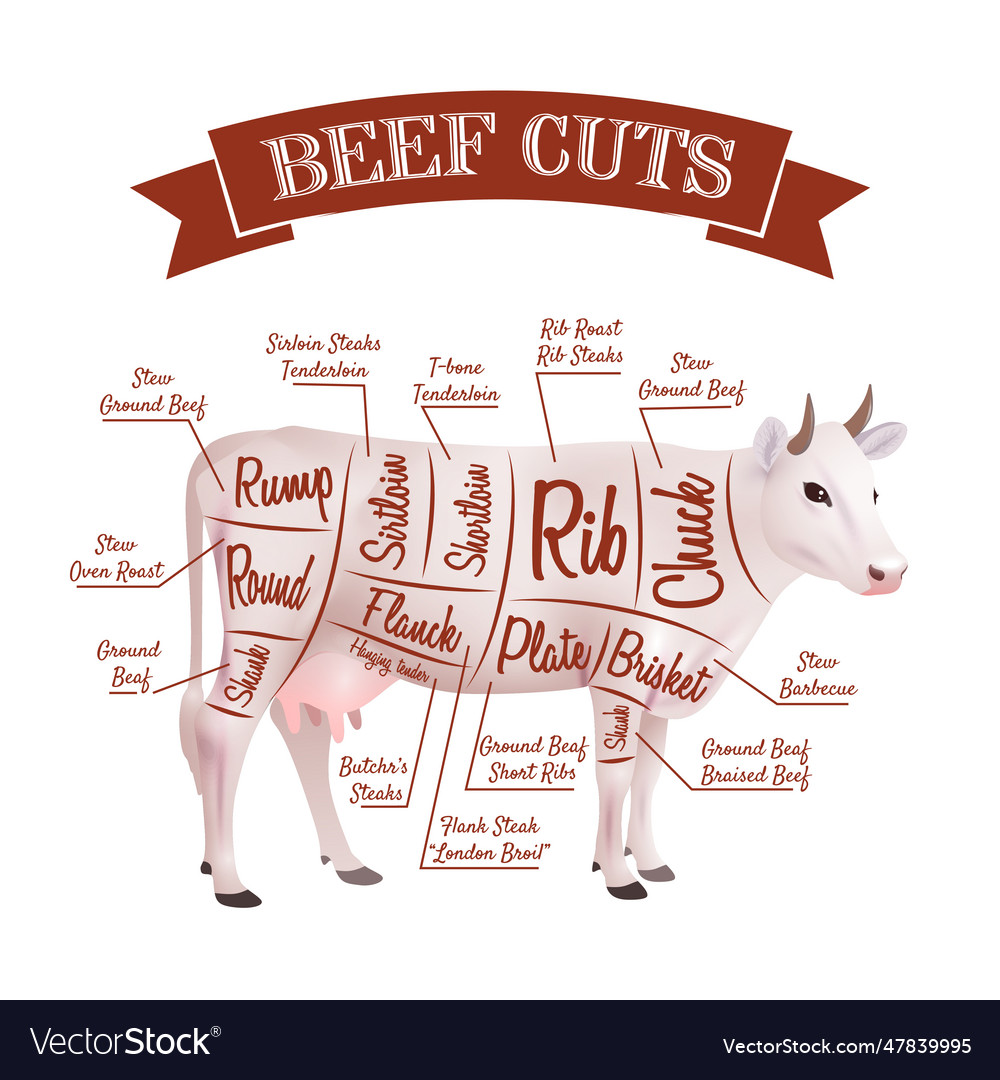 Beef Cuts Royalty Free Vector Image Vectorstock