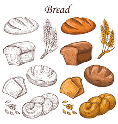 Bakery Product Sketch Bread And Cakes Set Vector Image