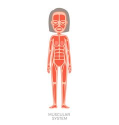 Human Muscular Skeletal Systems Poster Royalty Free Vector