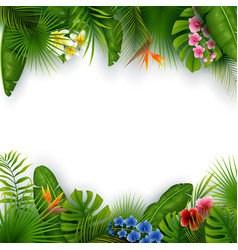 Frame From Tropical Plants And Flowers Royalty Free Vector