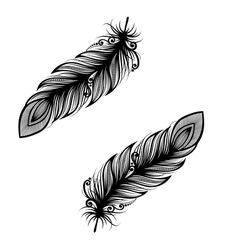 Peerless Decorative Feather Royalty Free Vector Image