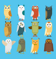 Cute Cartoon Owl Set Owls In Shades Of Gray Vector Image