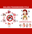 Malaria Symptom Information Infographic Royalty Free Vector