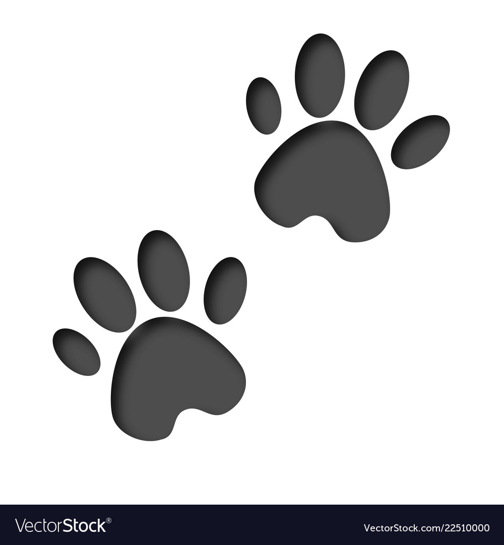 3d Animals Footprint Footprint Dog Or Cat In Vector Image Footprints animal hospital ei tegutse valdkondades veterinaarid ja loomakliinikud. vectorstock