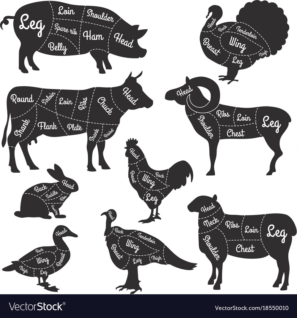 For butcher shop cutting lines of Royalty Free Vector Image