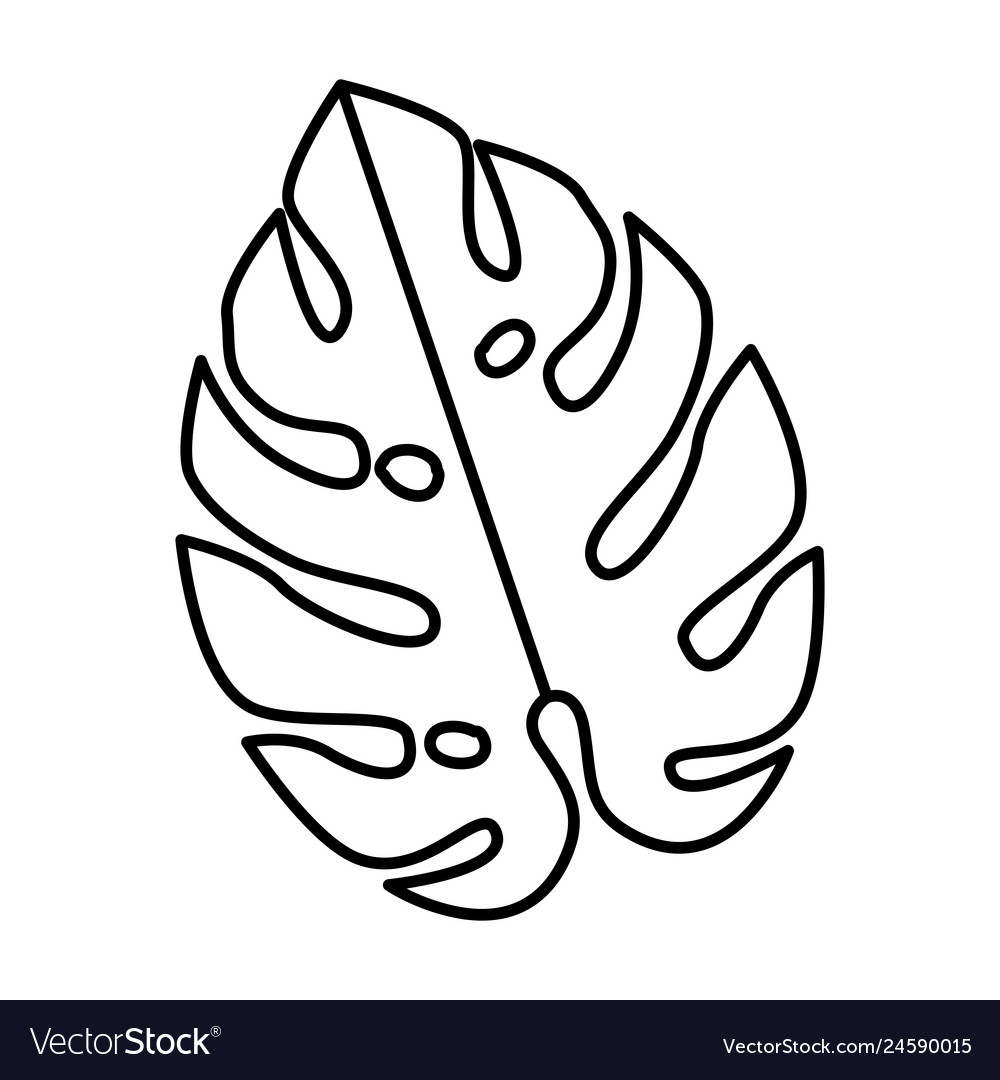 Tropical exotic leaf plant Royalty Free Vector Image