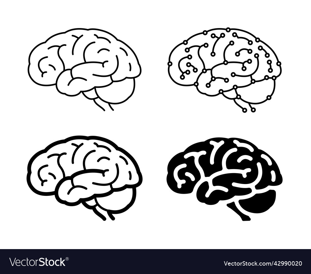 Human brain drawing set Royalty Free Vector Image