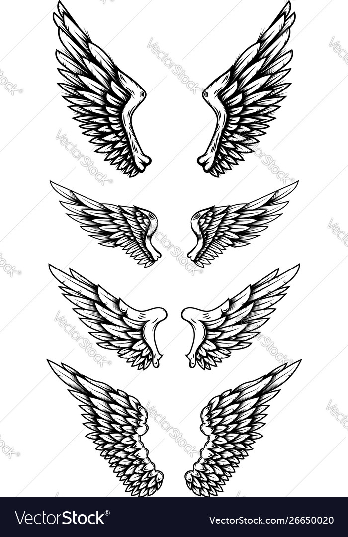 Angel Wings Tattoo Collection Isolated Black Stencils Romantic Doodle  Stock Vector  Illustration of freedom black 239215426