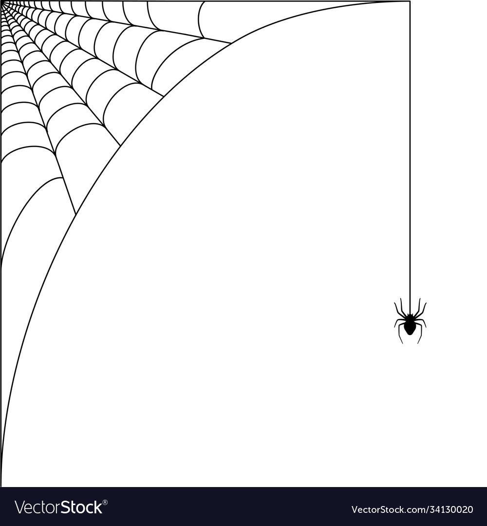 Spider web concept Royalty Free Vector Image - VectorStock