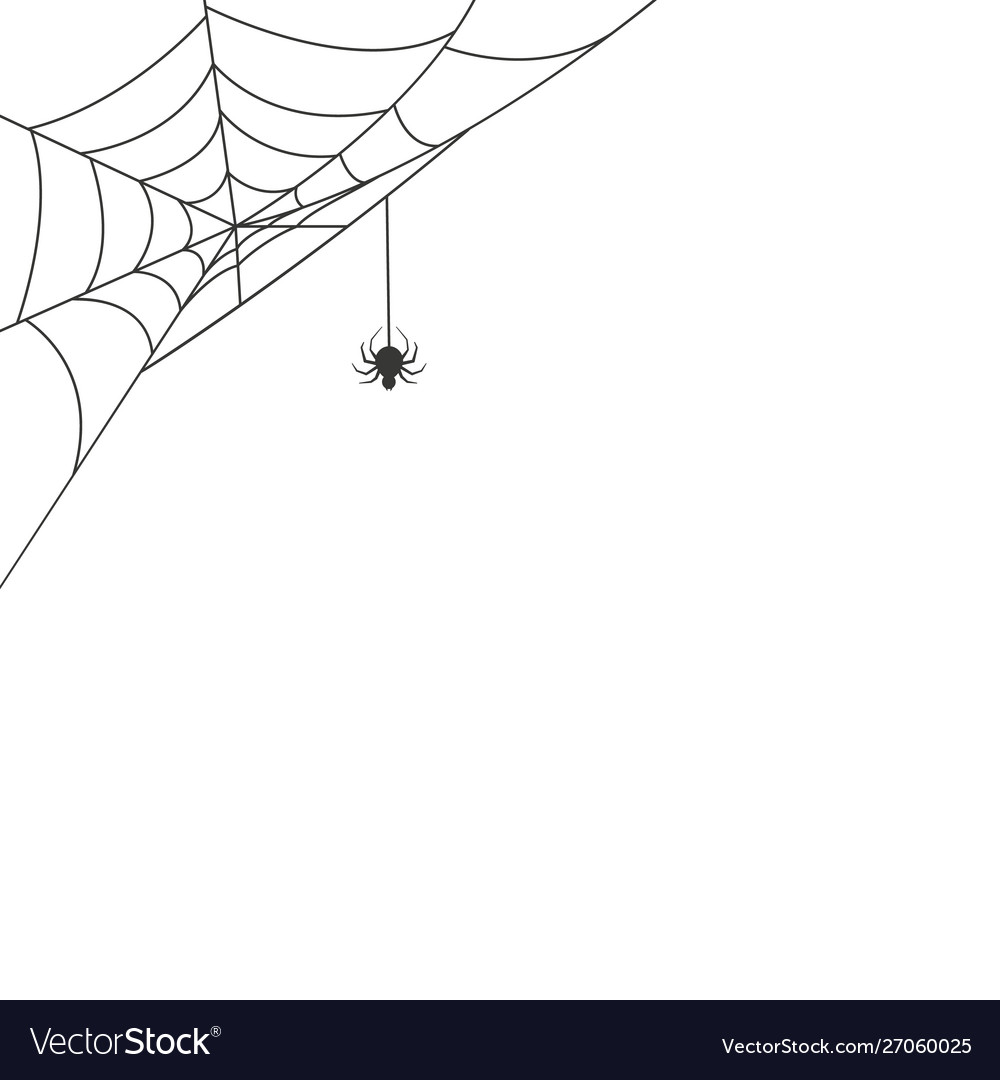 Spider web in corner with a hanging Royalty Free Vector