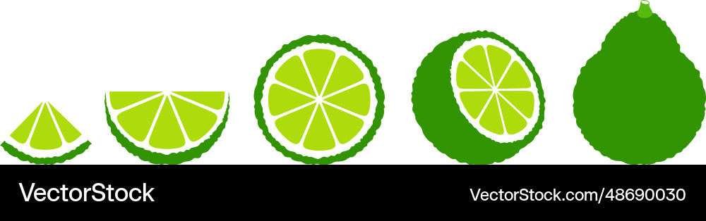 Bergamot Royalty Free Vector Image - VectorStock