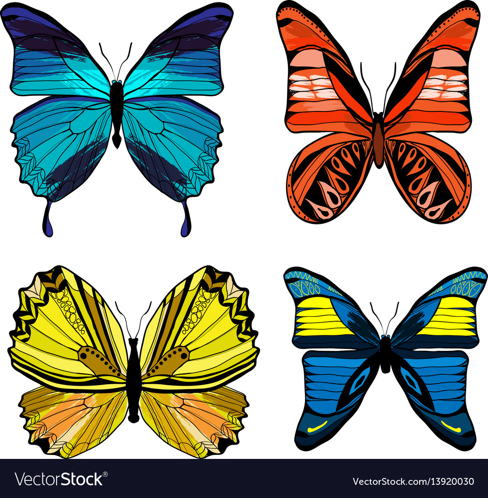 Colorful graphic insects set Royalty Free Vector Image