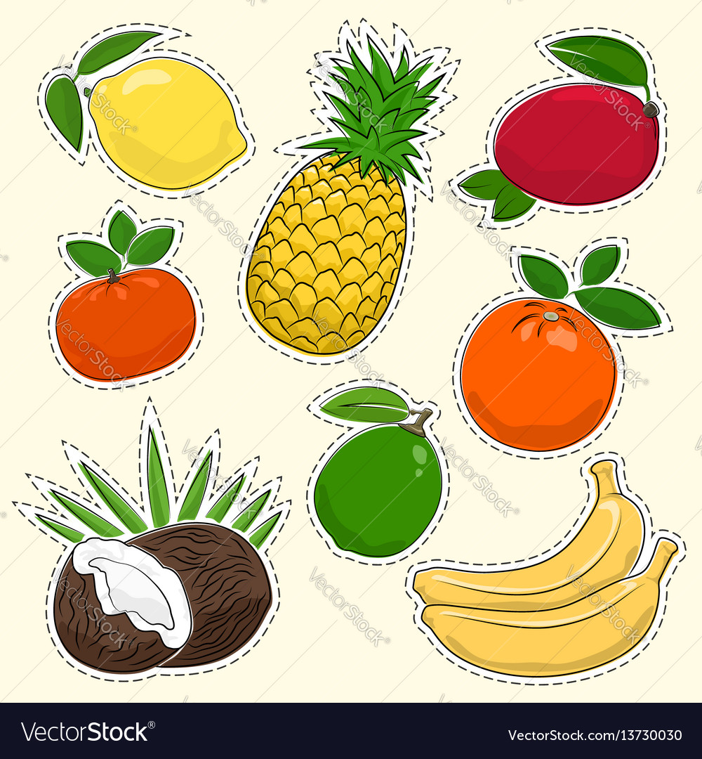 Set of tropical and citrus fruit stickers Vector Image