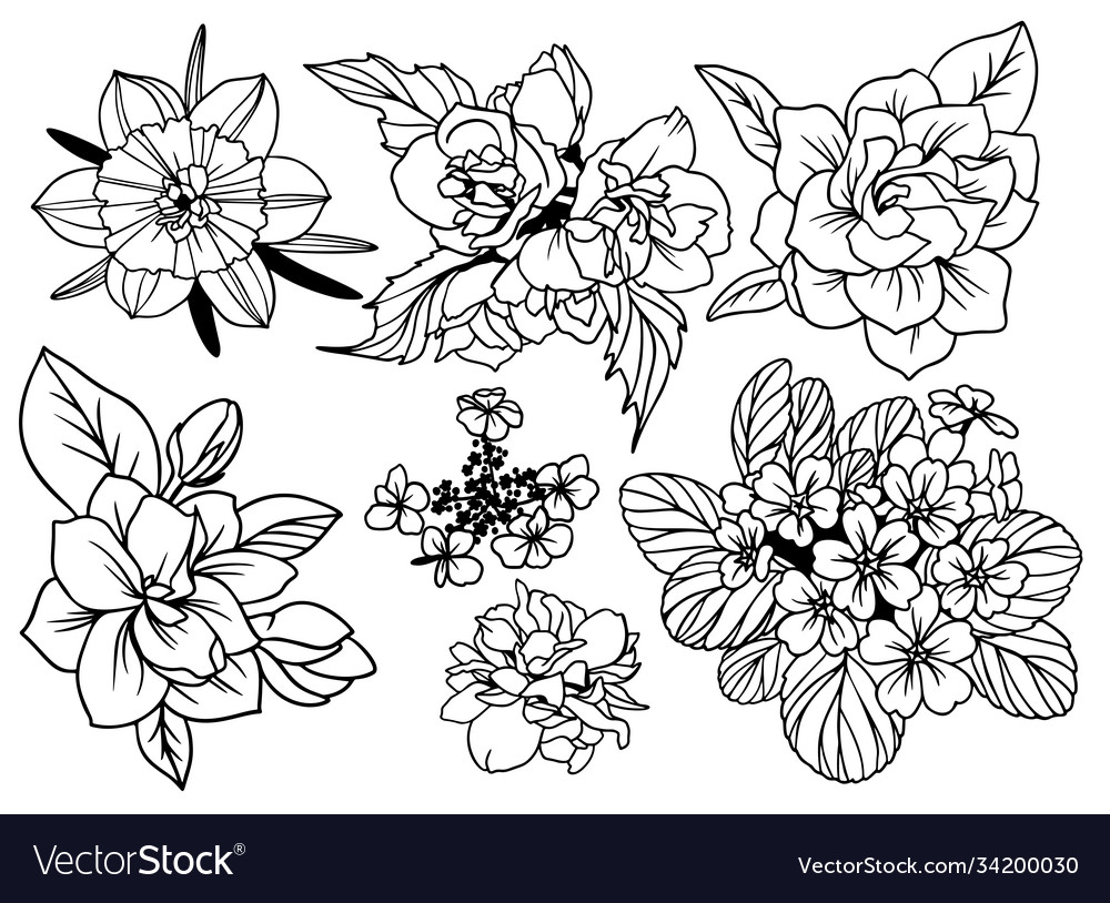 Set top view flowers with leaves Royalty Free Vector Image