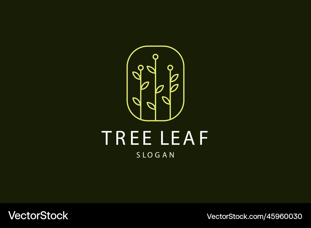 Tree leaf Royalty Free Vector Image - VectorStock