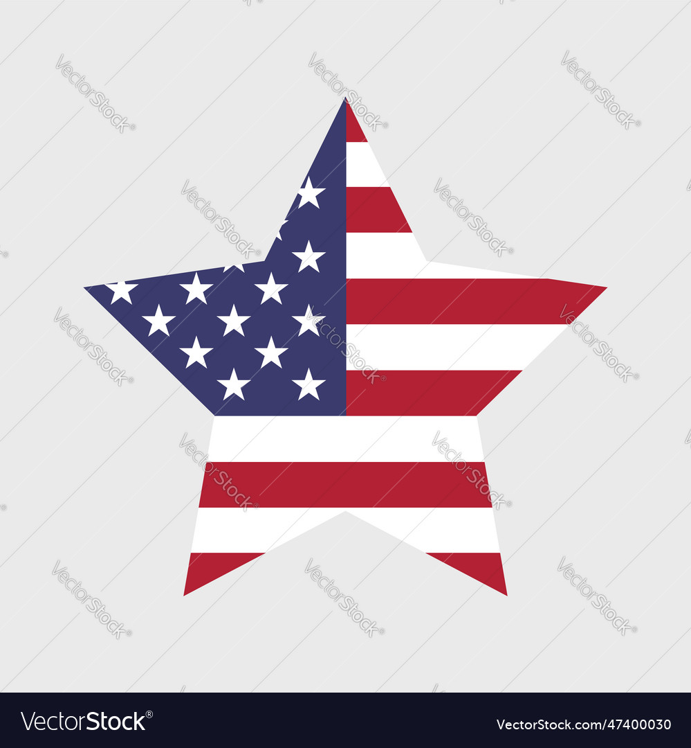 Usa flag icon american flag Royalty Free Vector Image