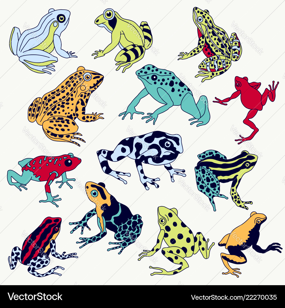 Frogs set Royalty Free Vector Image - VectorStock