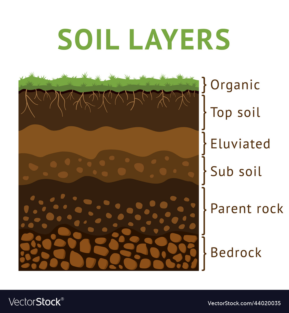 Soil layer section dirt cross ground earth Vector Image