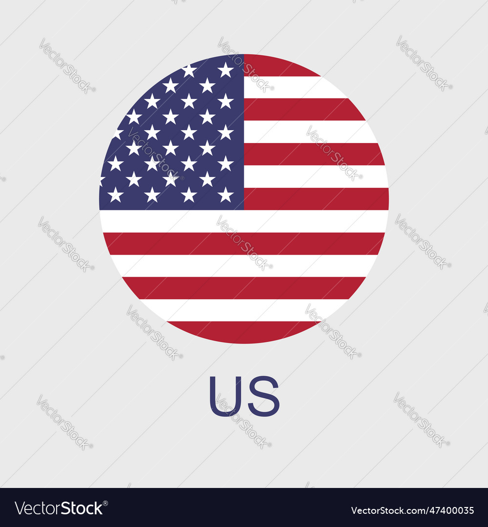 Usa flag icon american vector image Usa flag icon american
