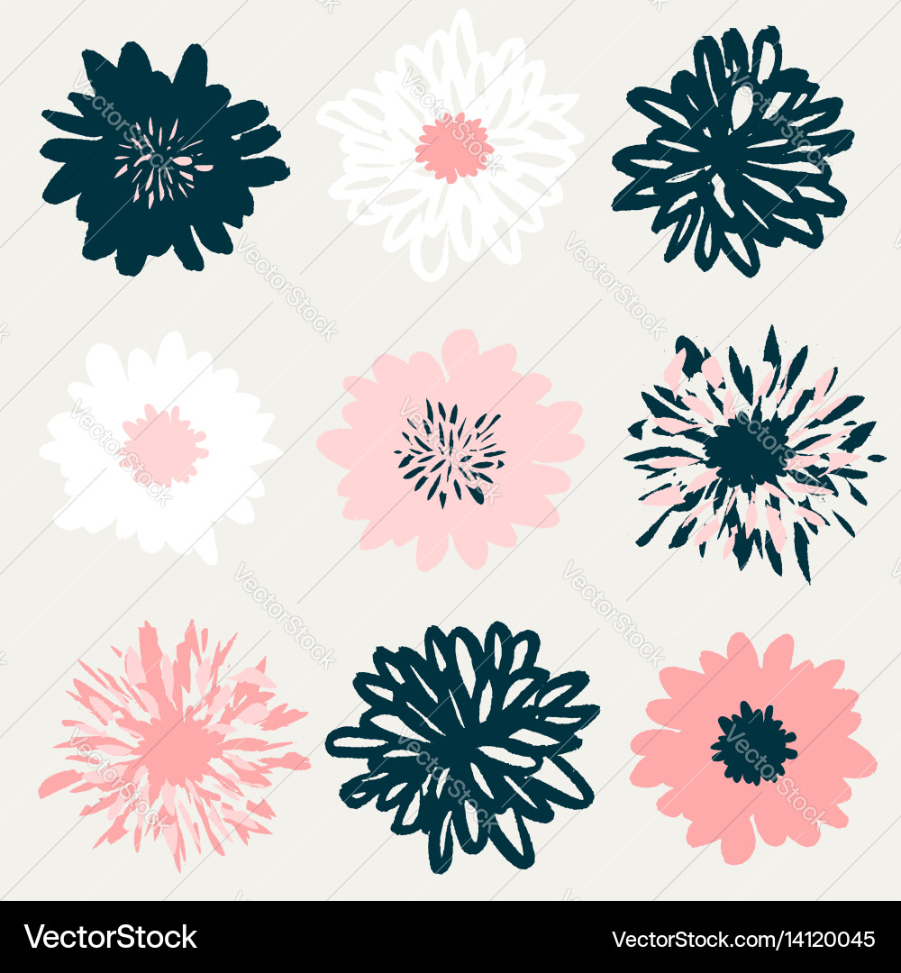 Floral elements collection Royalty Free Vector Image