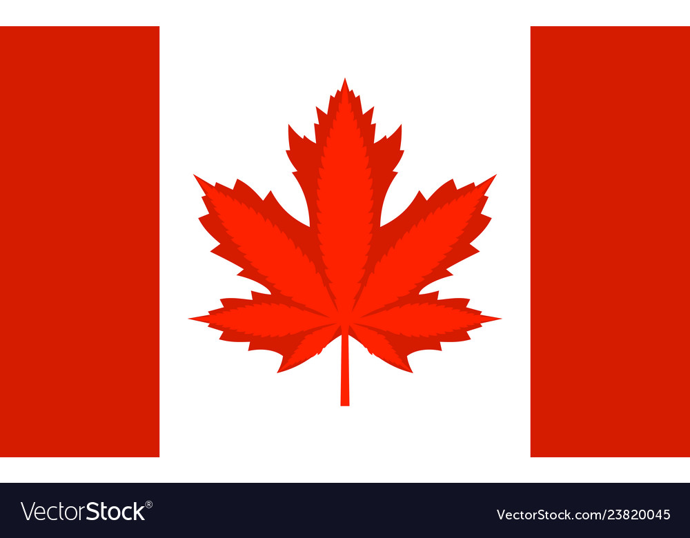 Legalization cannabis hemp on canada flag vector image Legalization cannabis hemp on canada flag