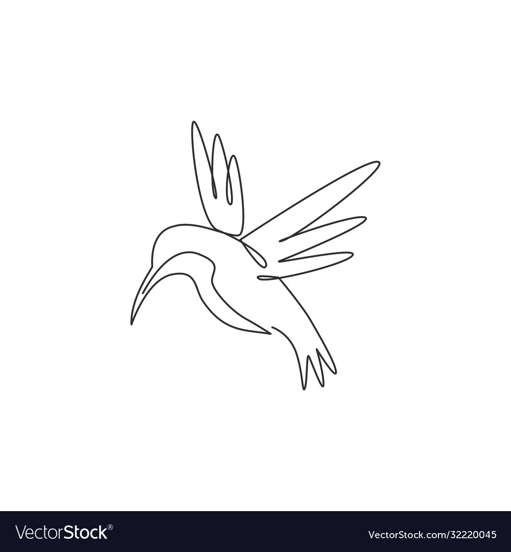 One continuous line drawing cute hummingbird Vector Image