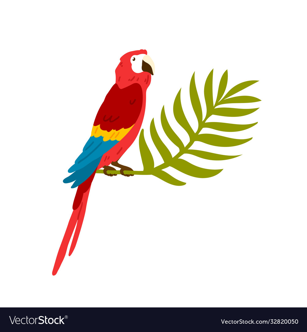 Exotic tropical ara bird macaw big red parrot Vector Image Exotic tropical ara bird macaw big red parrot Vector Image