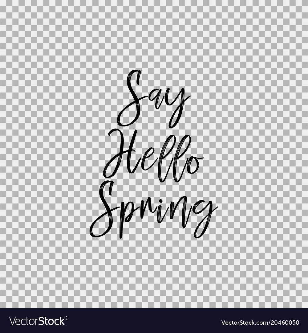 Say Hello Spring Transparent Background Royalty Free Vector