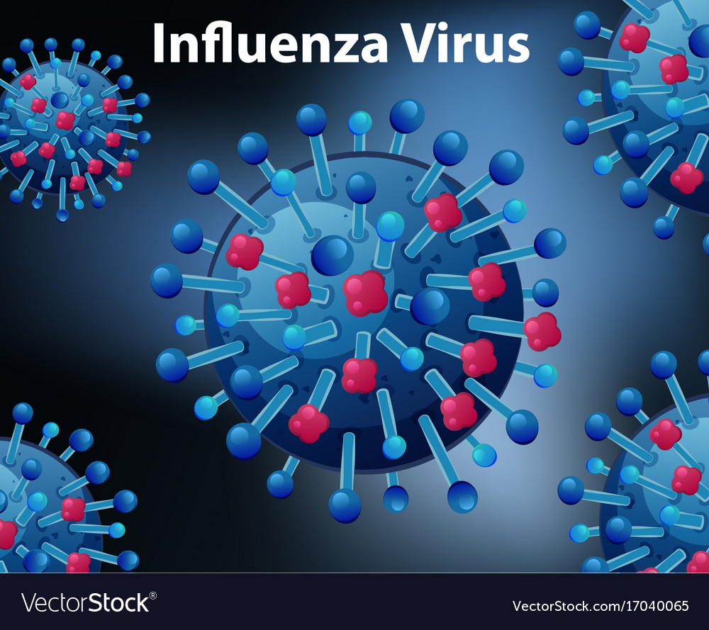 Close up diagram for influenza virus Royalty Free Vector