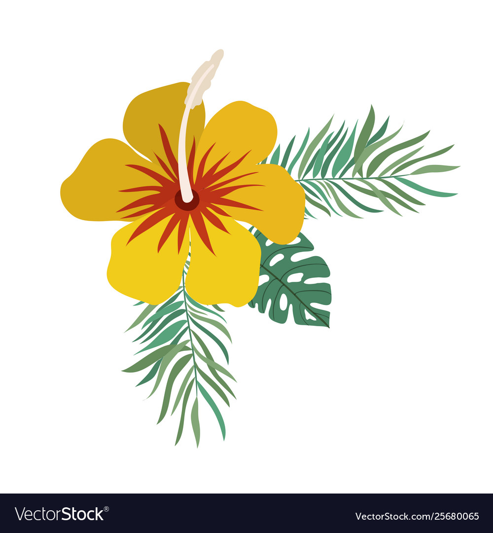 Pattern with flower and leafs summer Royalty Free Vector