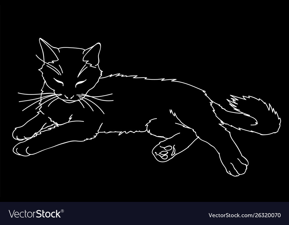 Cute realistic cat laying Royalty Free Vector Image