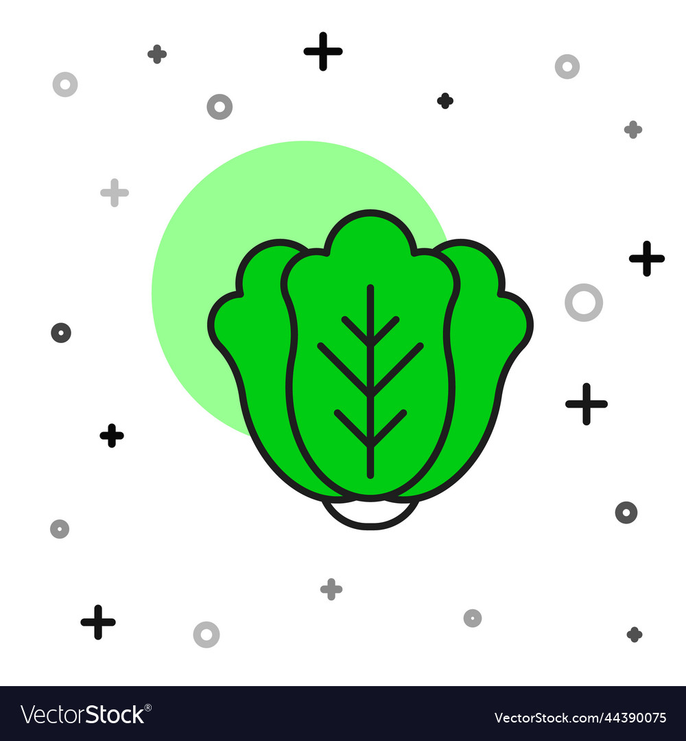 Filled Outline Fresh Cabbage Vegetable Icon Vector Image Filled Outline Fresh Cabbage Vegetable Icon Vector Image