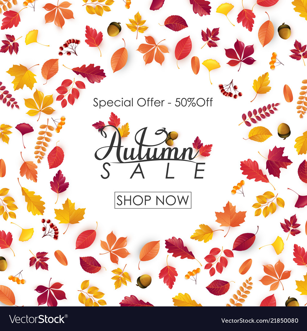 Autumn sale background with falling leaves Vector Image