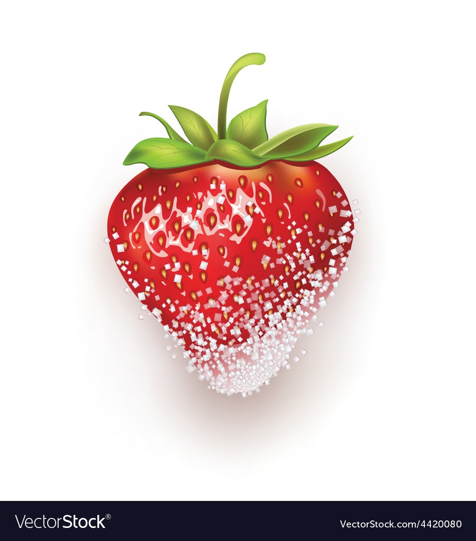 Strawberries in sugar Royalty Free Vector Image