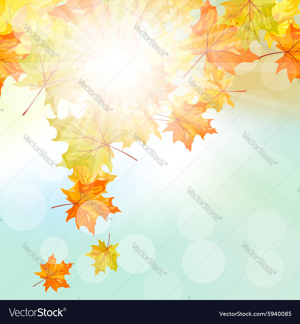 Autumn frame Royalty Free Vector Image - VectorStock