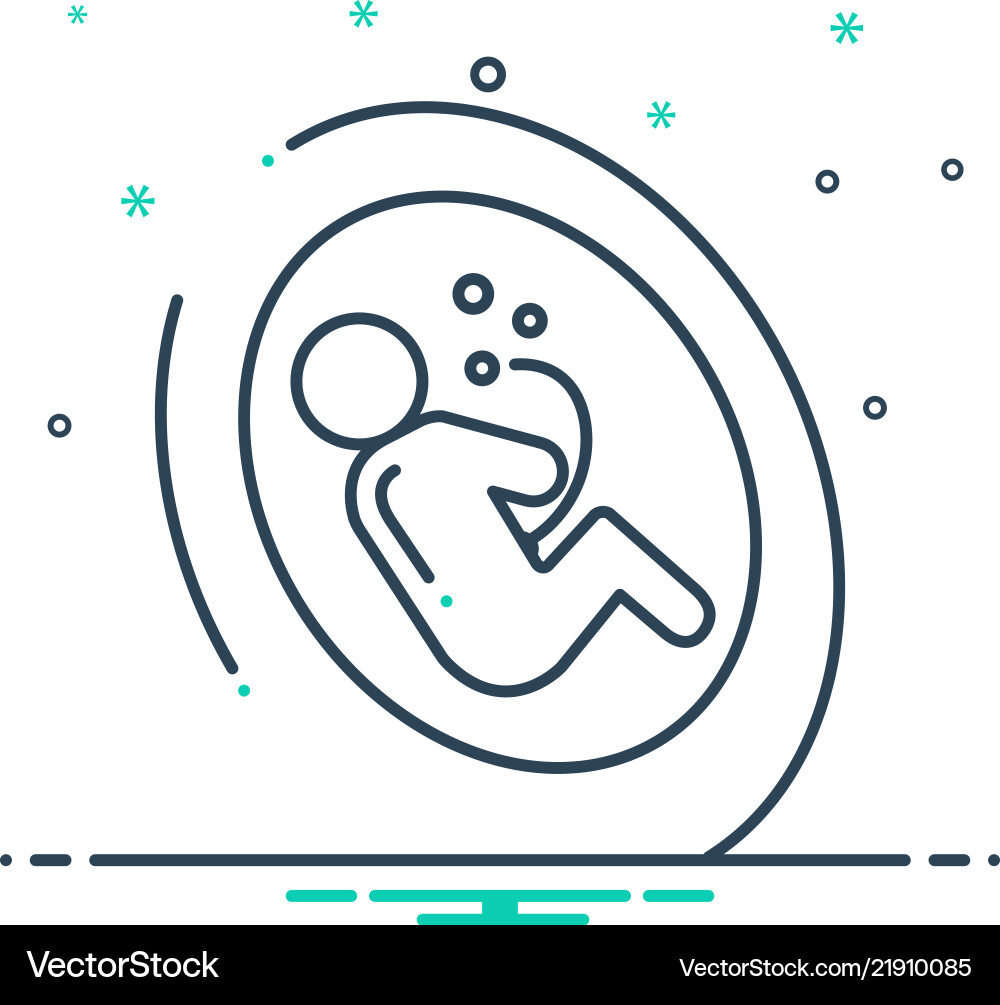 Embryo Royalty Free Vector Image Vectorstock