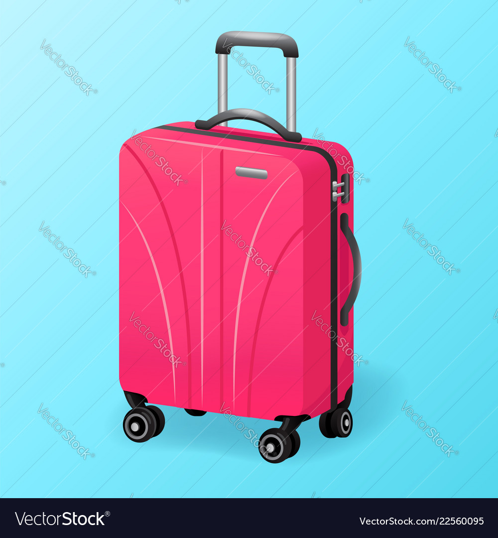 single luggage