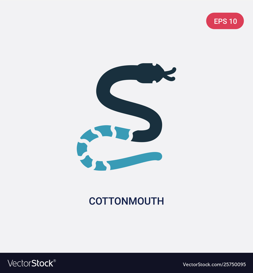 Two color cottonmouth icon from animals concept Vector Image